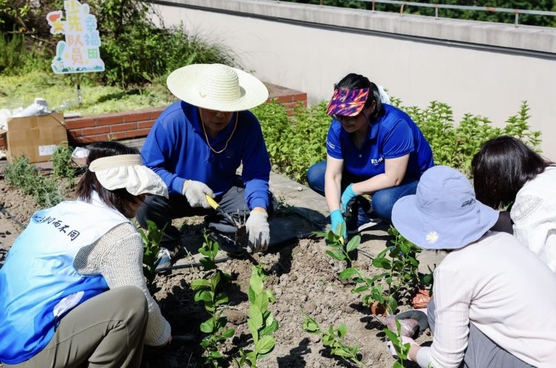 伊顿x多阅｜播种绿色希望，共建社区花园