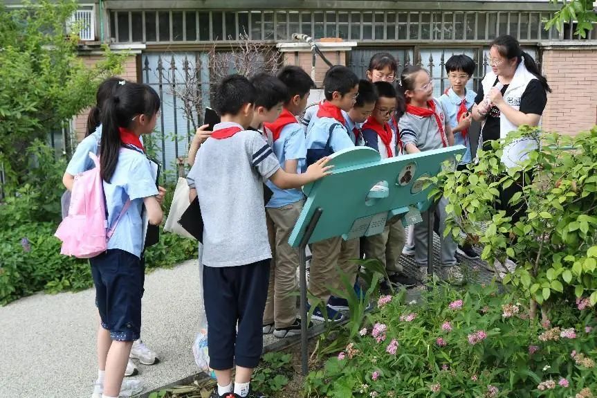 活动回顾 | 奇妙花园让孩子与自然共舞